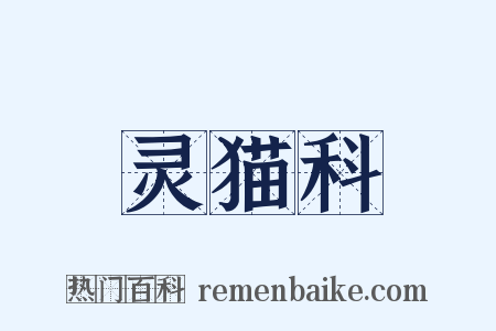灵猫科是什么意思的图片